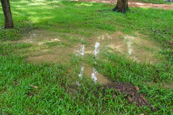Cost of Storm Water Drainage Service in Moncks Corner