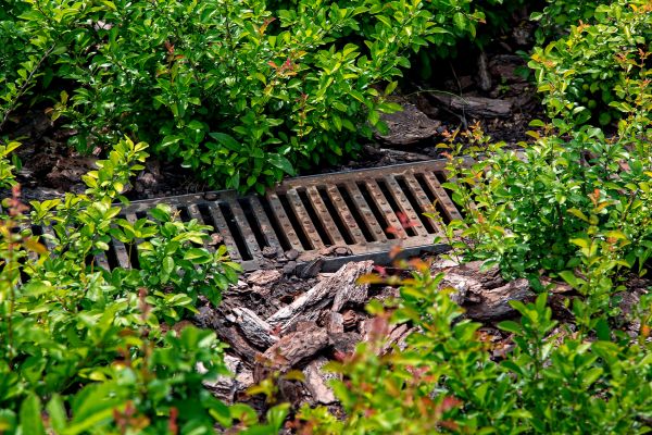 Cost of Underground Drainage Service in Moncks Corner