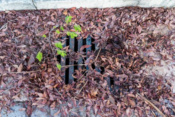 Cost of Yard Drain Unclogging in Moncks Corner