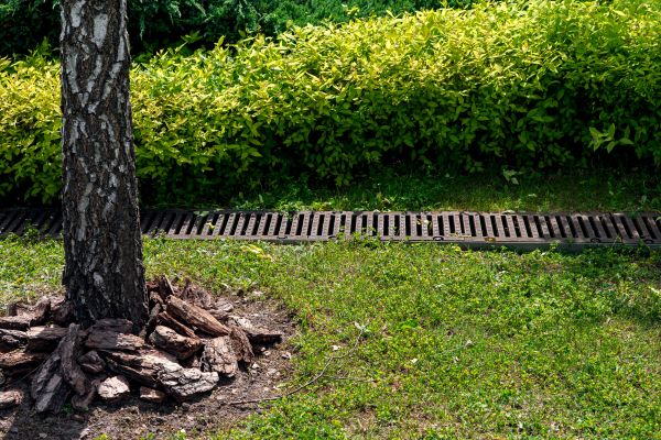 Cost of Wet Yard Drainage in Moncks Corner