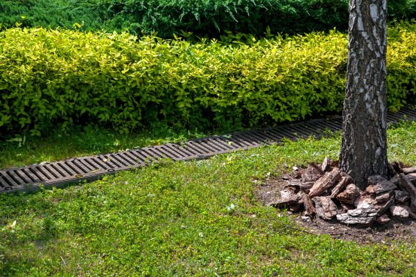 Cost of Residential Landscape Drainage in Moncks Corner