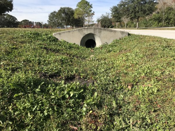 Cost of Swale Drainage Service in Moncks Corner